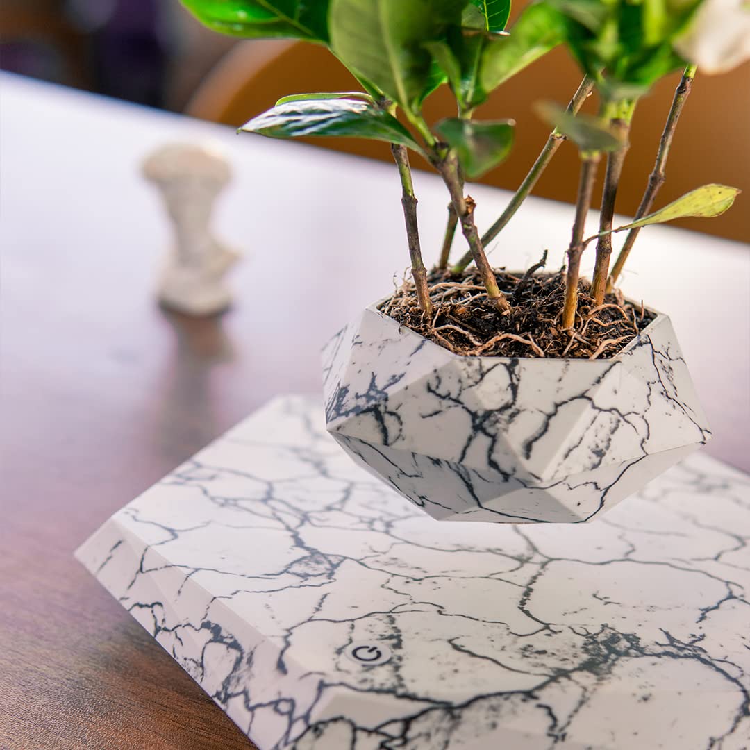 Levitating Plant