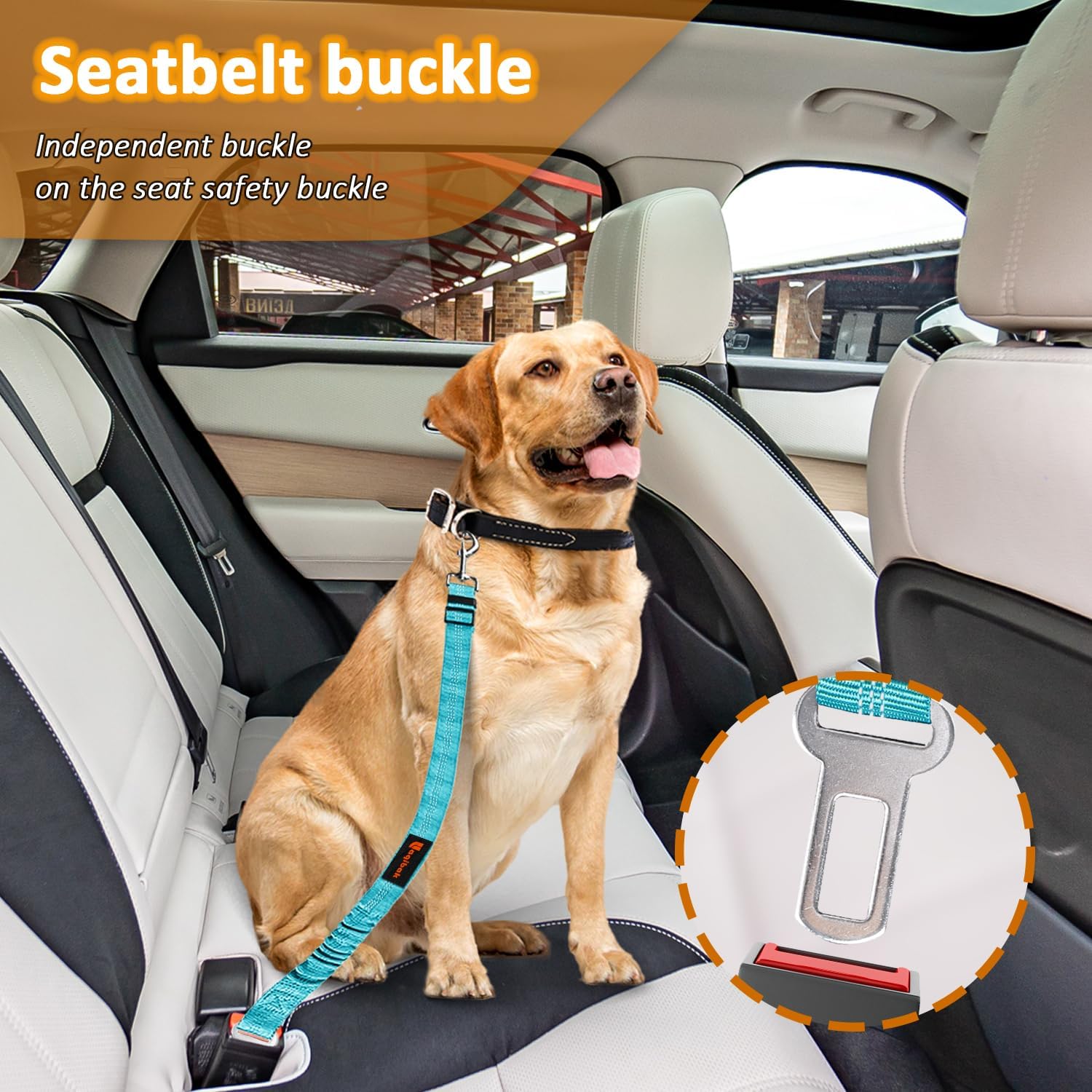Dog Seat Belt Harness