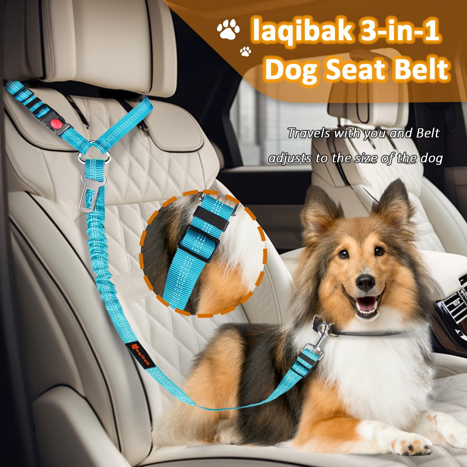 Dog Seat Belt Harness