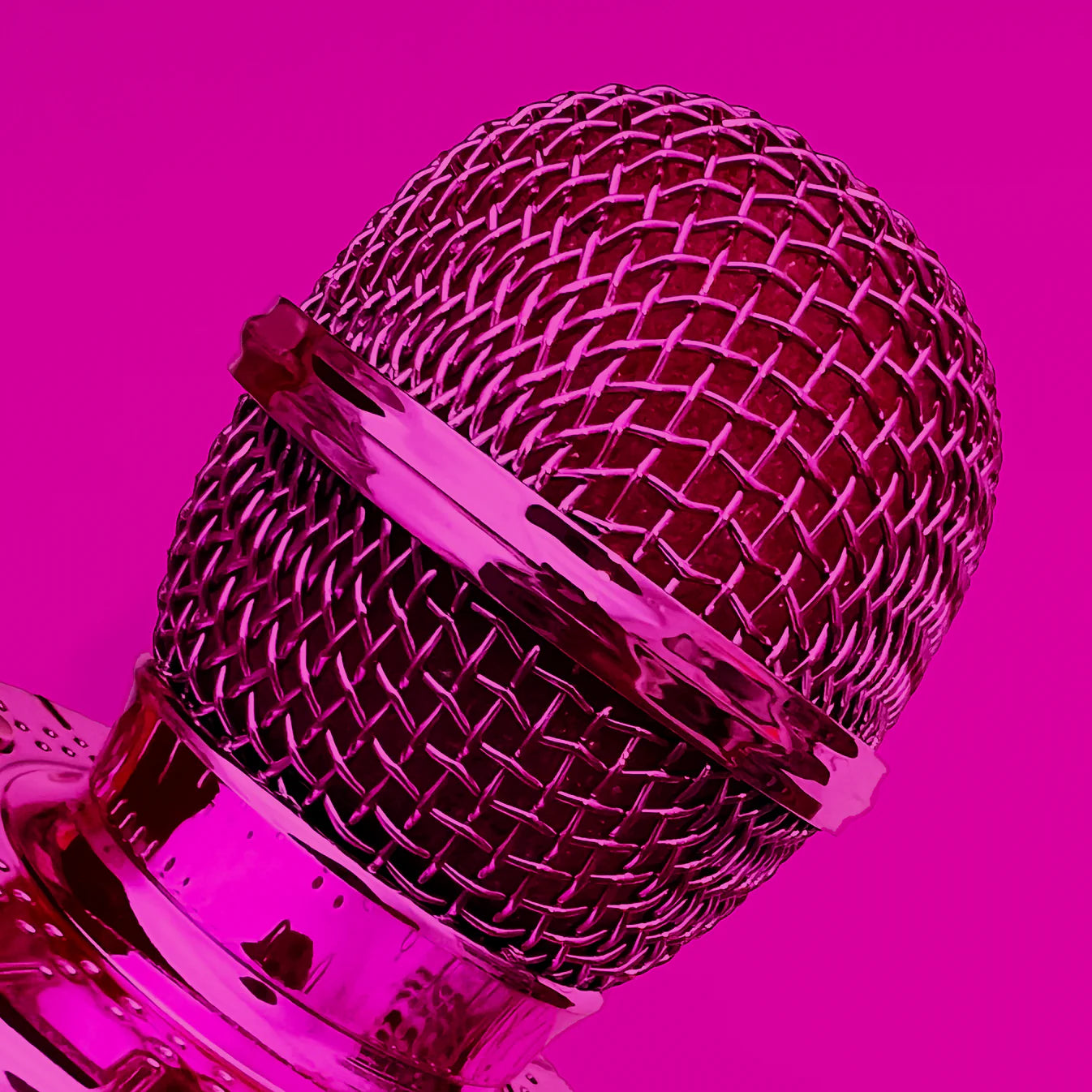 Karaoke Microphone