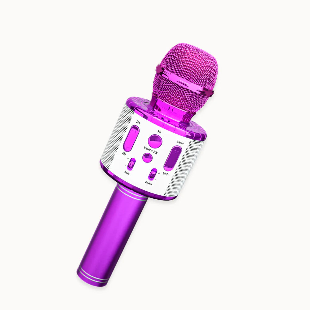 Karaoke Microphone