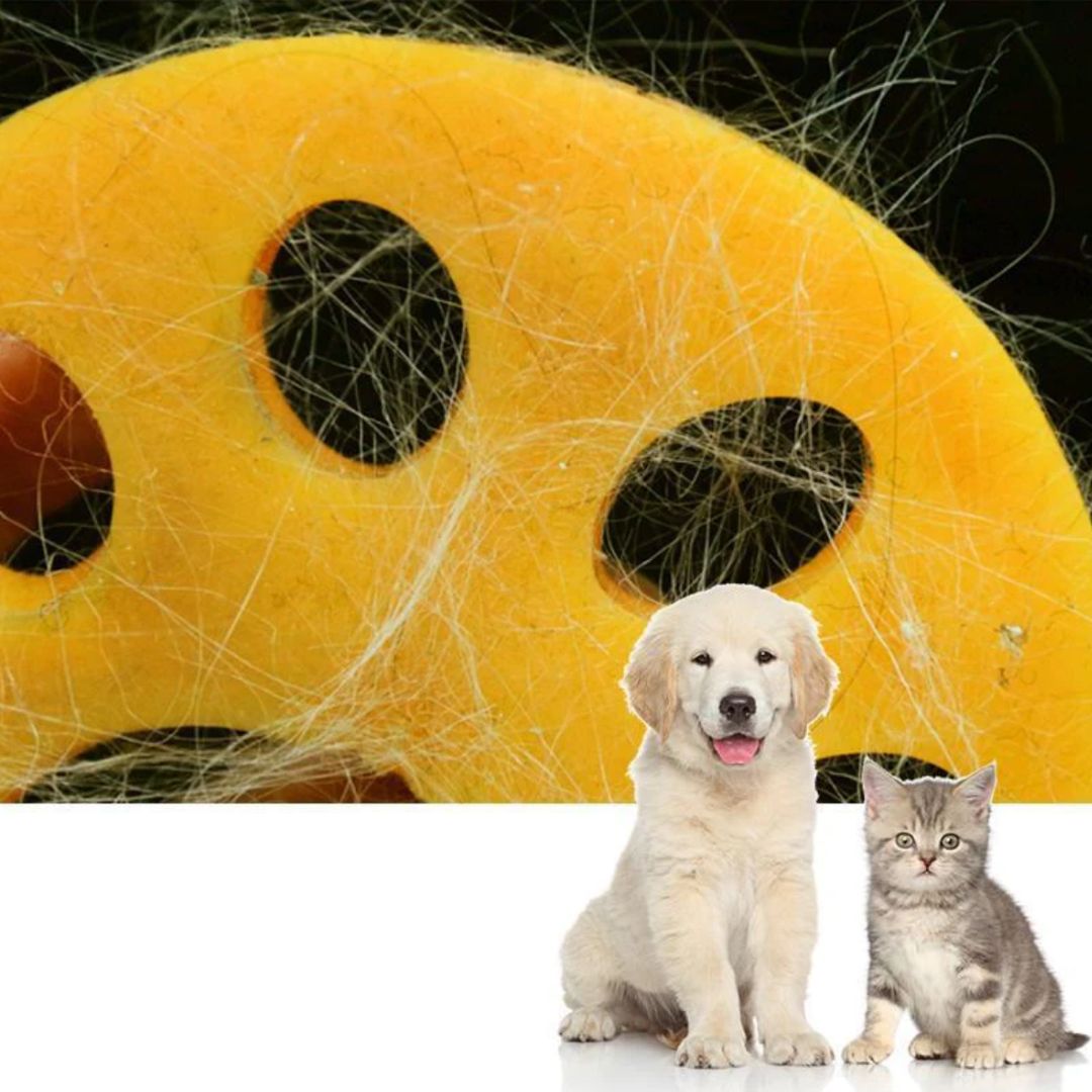 Pet Hair Remover (2 pcs)