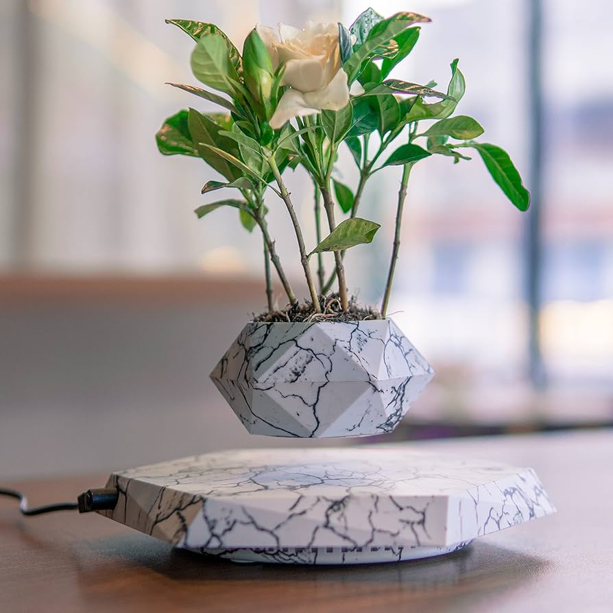 Levitating Plant