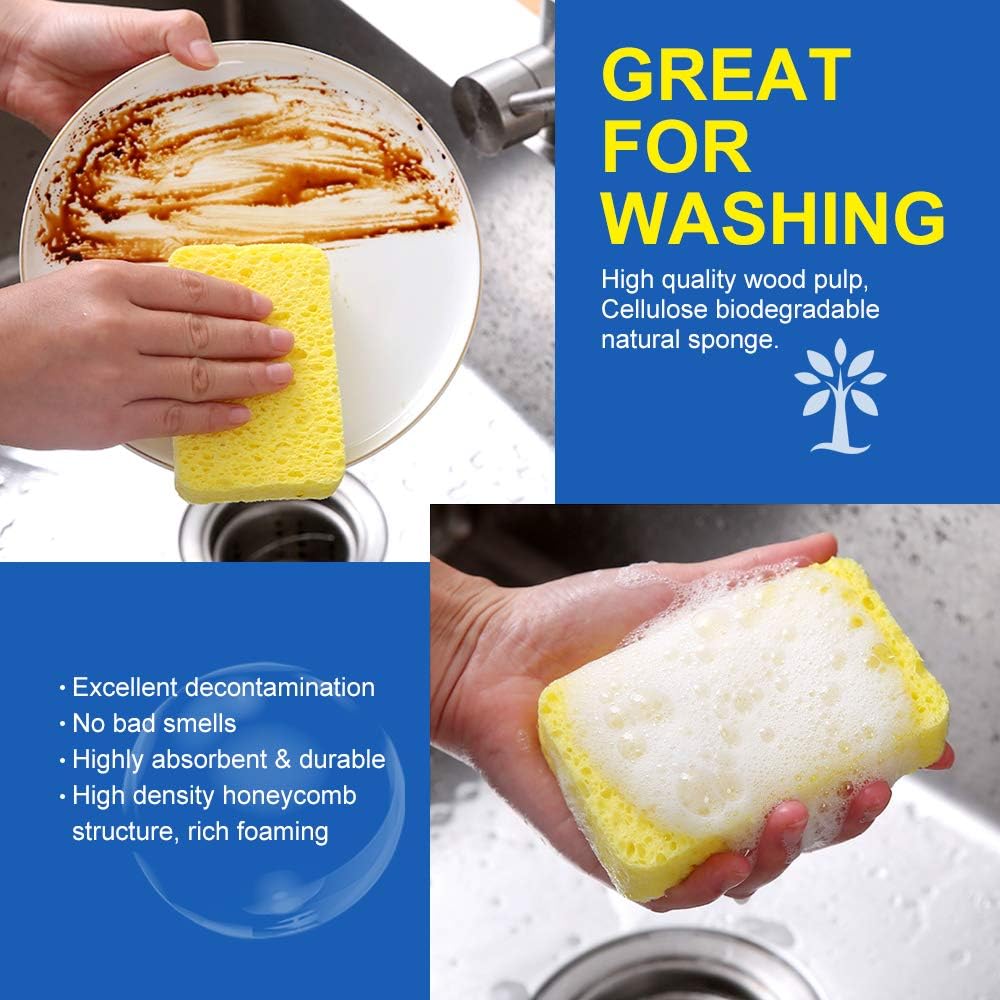 2 in 1 Soap Dispenser and Sponge Holder